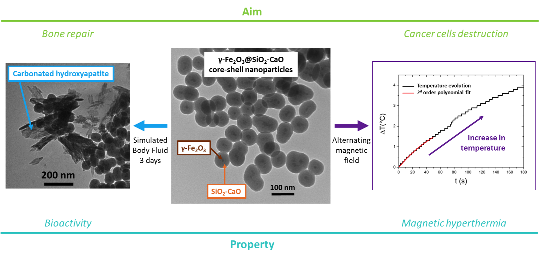 Design d’hétérostructures magnétiques et bioactives pour le traitement curatif du cancer osseux par hyperthermie magnétique.